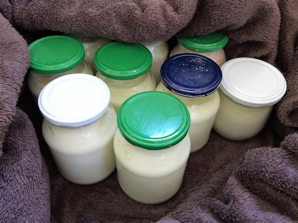 einfach Joghurt selbst machen, Bio-Milch, Zero Waste, plastikfrei (c) www.einfachzerowasteleben.de