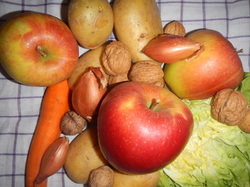 Regionales und saisonales Obst, Gemüse und Nüsse im Januar. Einfach Zero Waste leben