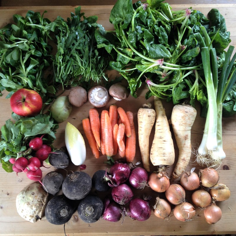 April: Saisonales und regionales Obst und Gemüse (c) www.einfachzerowasteleben.de