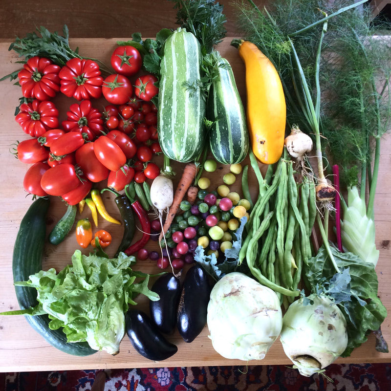 JULI regionales und saisonales Obst und Gemüse Selbstversorger (c) www.einfachzerowasteleben.de