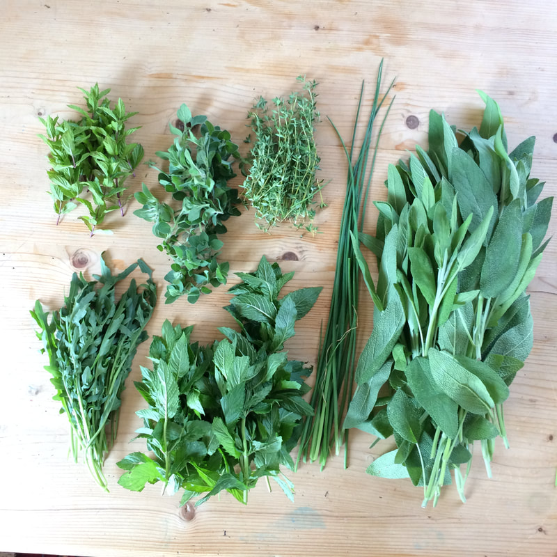 JULI regionales und saisonale Kräuter und Teepflanzen Selbsterversorger (c) www.einfachzerowasteleben.de