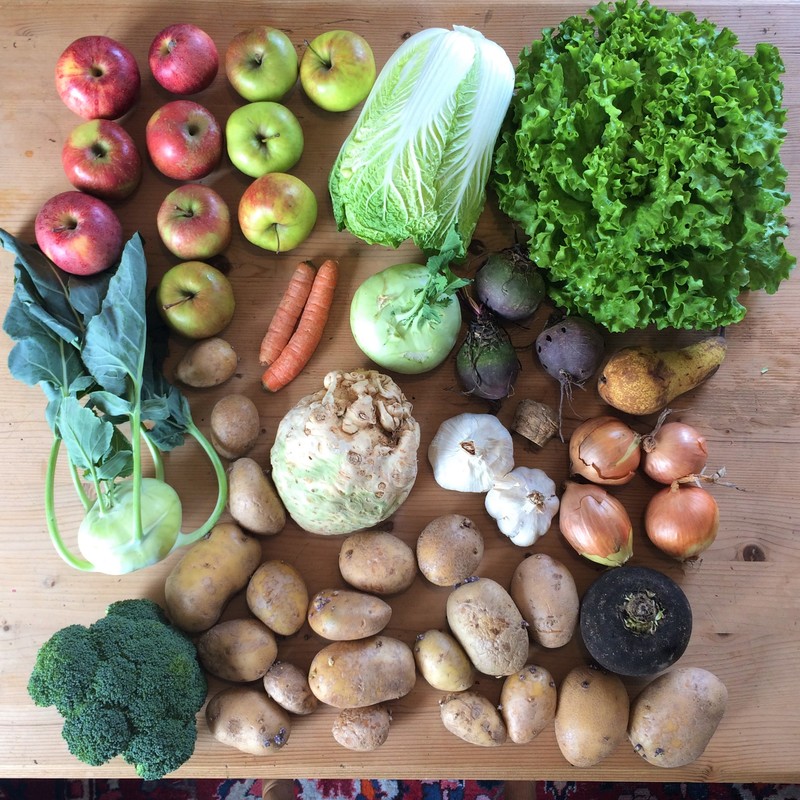 März Saisonales und regionales Obst und Gemüse - Selbstversorgung - Müllvermeidung 