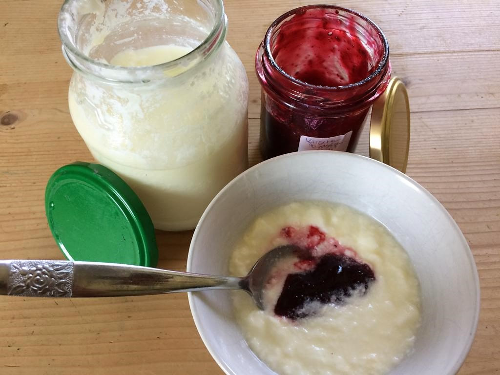 Selbstgemachter Joghurt mit selbstgemachter Marmelade. Müllfrei, Zero Waste, bio UND regional, Transportemissionen(c) www.einfachzerowasteleben.de