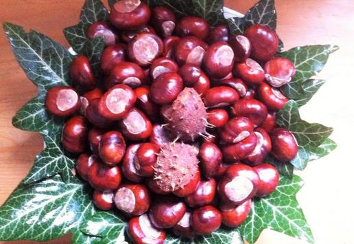 Herbstliches #ZeroWaste #Waschmittel aus #Kastanien und #Efeu. (c) www.einfachzerowasteleben.de