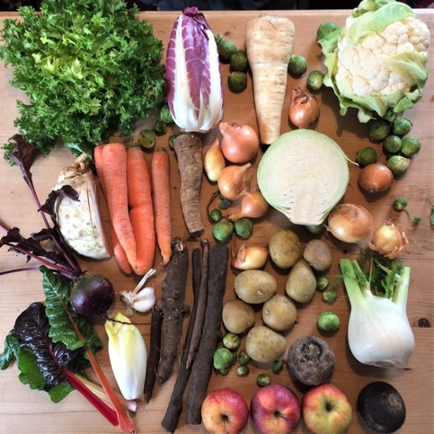 FEBRUAR: Immer noch schön bunt - Saisonales und Regionales Obst und Gemüse © www.einfachzerowasteleben.de