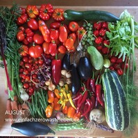 August Saisonkalender Manuela P. Gaßner