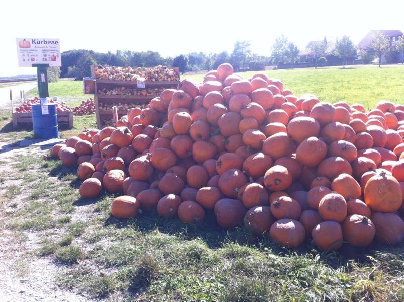 #Saisonales und #regionales im #Oktober, #Kürbisvielfalt (c) www.einfachzerowasteleben.de