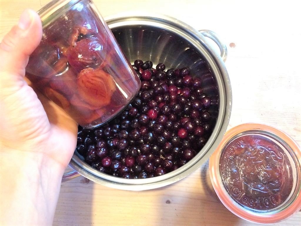 Sauerkirschen aus dem Garten und Zwetschgen von vorletztem Jahr. Marmelade selbstgemacht © www.einfachzerowasteleben.de 