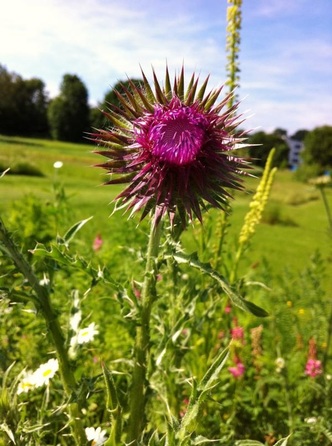 Rückblick auf Sommersemester 2016 © www.einfachzerowasteleben.de